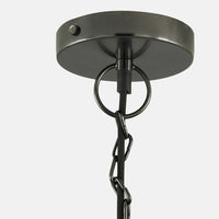 Black Nickel Clear Glass Pendant Light