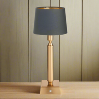 Brushed Gold Rechargeable Touch Lamp With Clip Shade - Mix & Match