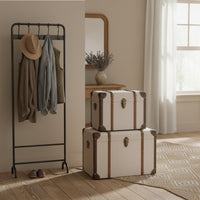 A pair of vintage-style storage trunks in a hallway