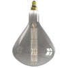 Dimmable LED Giant Filament Bulb / 1