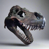 Extra Large T-Rex Skull Wall Head 37 cm