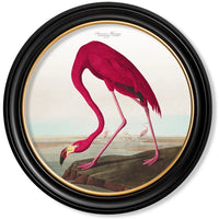 Extra Large Round Flamingo Print 120 cm