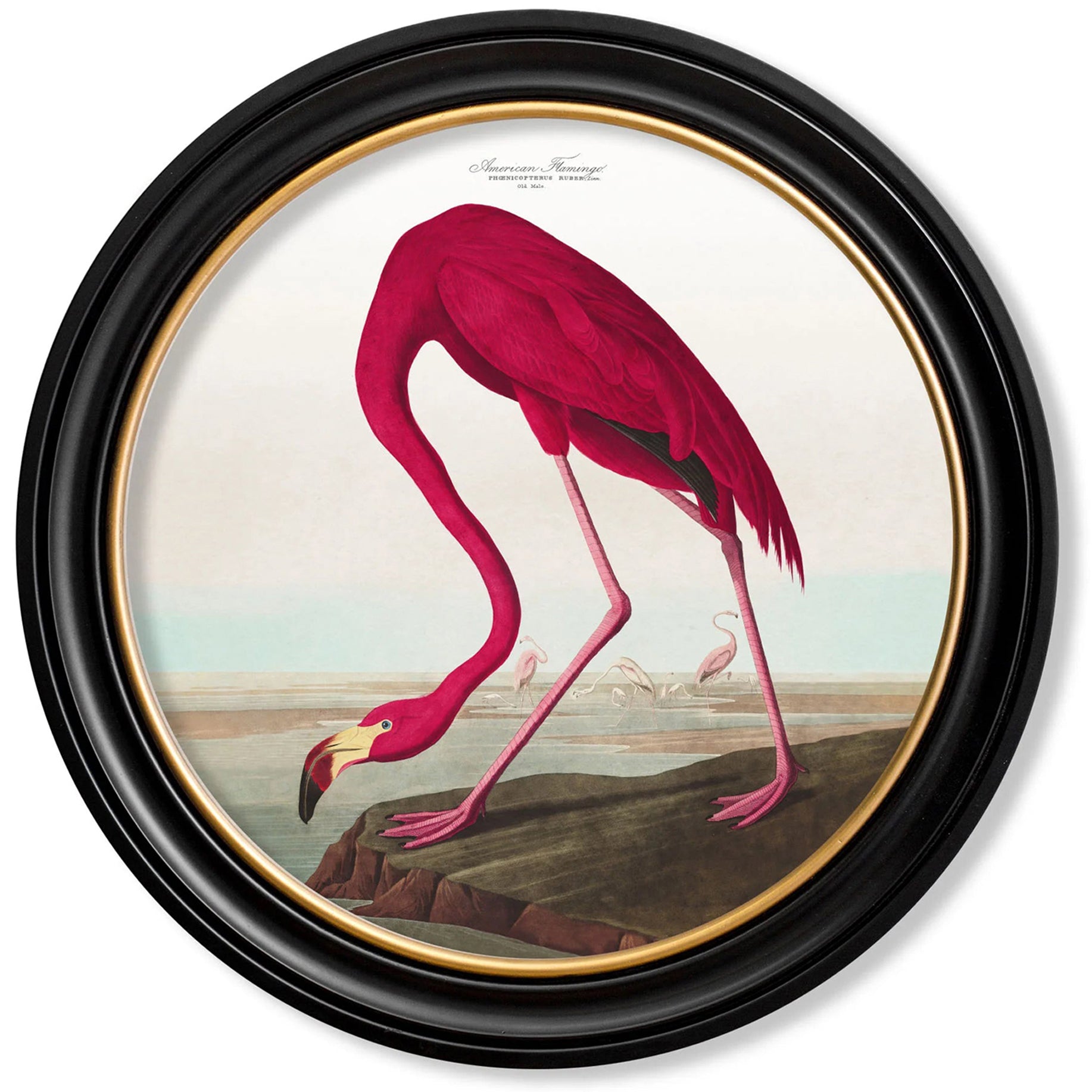 Extra Large Round Flamingo Print 120 cm