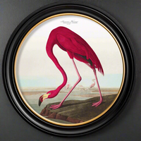 Extra Large round pink flamingo print in a classic black and gilt frame, exceptional size of this print will make a huge impact on any wall. The largest round framed print that we have in our collection.&nbsp; A statement print of a beautiful subject, a vibrant pink flamingo in a classic vintage setting. The are quite a few flamingo prints on our website in lots of different size frames for you tp choose from. 