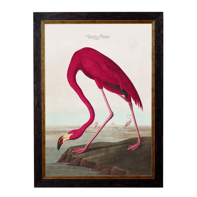 This is a large framed print of John James Audubon's "American Flamingo", from his famous series The Birds of America. The flamingo is painted in vivid shades of crimson and pink with subtle feather details. The print is surrounded by a dark wooden frame with a thin inner gold trim, enhancing the vintage and classic look.