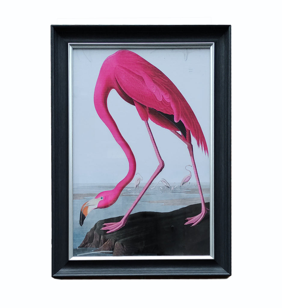 Large Print, Flamingo Wall Print, Wall Art Print