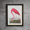 Medium Flamingo Print 40 x 30 cm