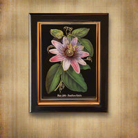Framed Passion Fruit Flower Wall Print