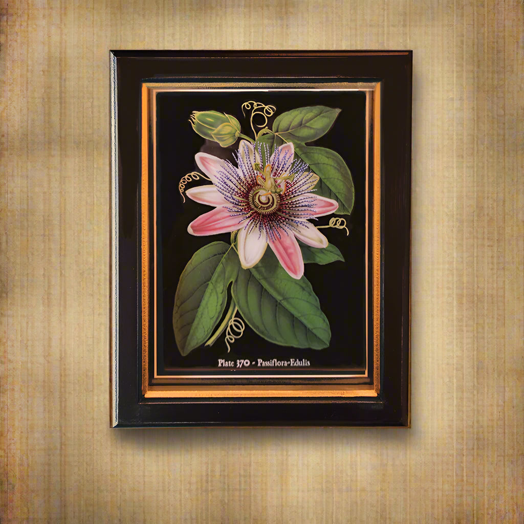 Framed Passion Fruit Flower Wall Print