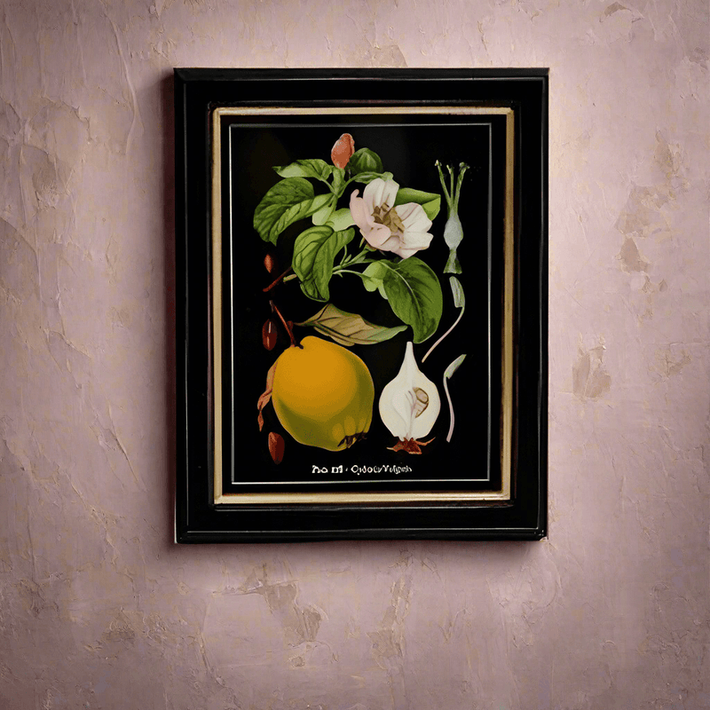 Shop small quince fruit and flower print, 20x25cm. Perfect wall decor addition with classic frame. Elevate interiors with this stylish art piece.