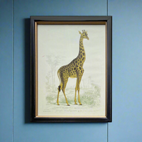 Vintage Giraffe Print 38 x 29 cm