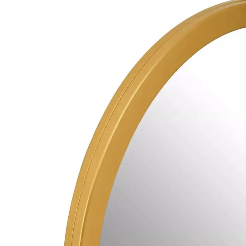 Gold Oval Full Length Hanging Mirror H140 W40cm