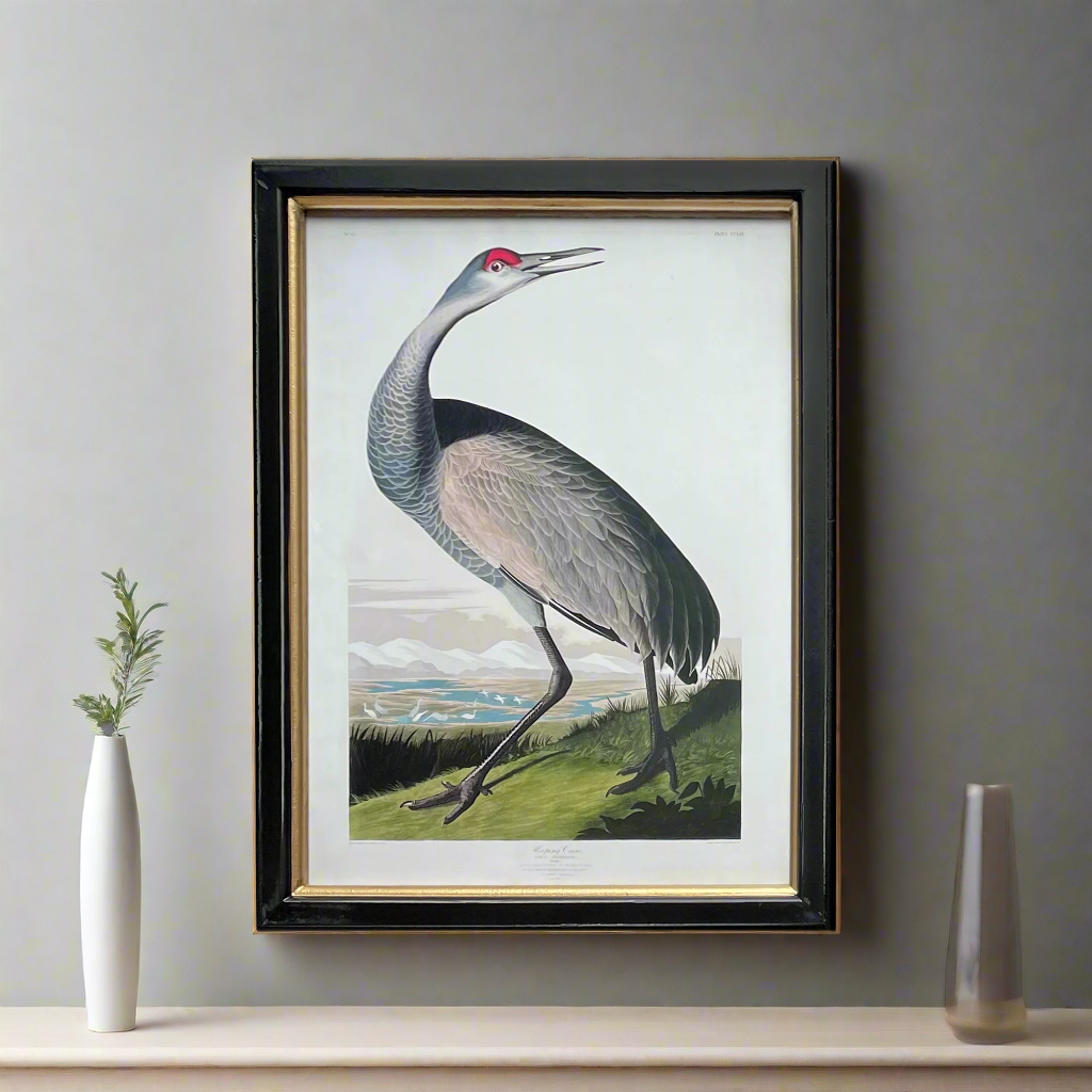 A medium-sized bird print in a black frame, displayed on a wall above a shelf with a vase and a plant.