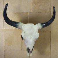 Large Bison Skull Wall Head