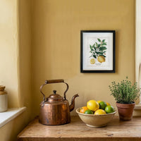 This print blends scientific illustration with decorative appeal. Its clean composition and natural tones make it an effortless addition to kitchens, dining areas, hallways, or gallery walls.