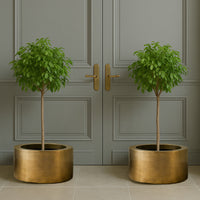 &nbsp;We have a few ultimate items, and this is the ultimate brass planter, a very large round brass pot, perfect for a statement plant.&nbsp; The absolute height of style, any plant would be proud to rest in such a stunning piece.&nbsp; &nbsp;70 cm round and 37 cm high, this is a planter that would not go unnoticed in the most stylish and contemporary of interiors.&nbsp; &nbsp;In an entryway or foyer, a kitchen, for the most precious plants in your living room - the ultimate in sleek, minimalist glamour.