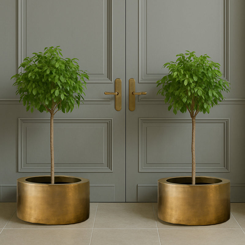 &nbsp;We have a few ultimate items, and this is the ultimate brass planter, a very large round brass pot, perfect for a statement plant.&nbsp; The absolute height of style, any plant would be proud to rest in such a stunning piece.&nbsp; &nbsp;70 cm round and 37 cm high, this is a planter that would not go unnoticed in the most stylish and contemporary of interiors.&nbsp; &nbsp;In an entryway or foyer, a kitchen, for the most precious plants in your living room - the ultimate in sleek, minimalist glamour.