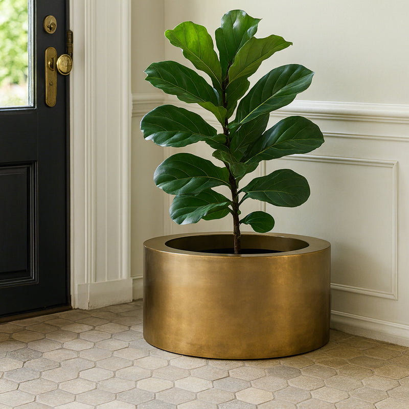 &nbsp;We have a few ultimate items, and this is the ultimate brass planter, a very large round brass pot, perfect for a statement plant.&nbsp; The absolute height of style, any plant would be proud to rest in such a stunning piece.&nbsp; &nbsp;70 cm round and 37 cm high, this is a planter that would not go unnoticed in the most stylish and contemporary of interiors.&nbsp; &nbsp;In an entryway or foyer, a kitchen, for the most precious plants in your living room - the ultimate in sleek, minimalist glamour.