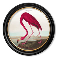 Oversize Round Flamingo Print 96 cm