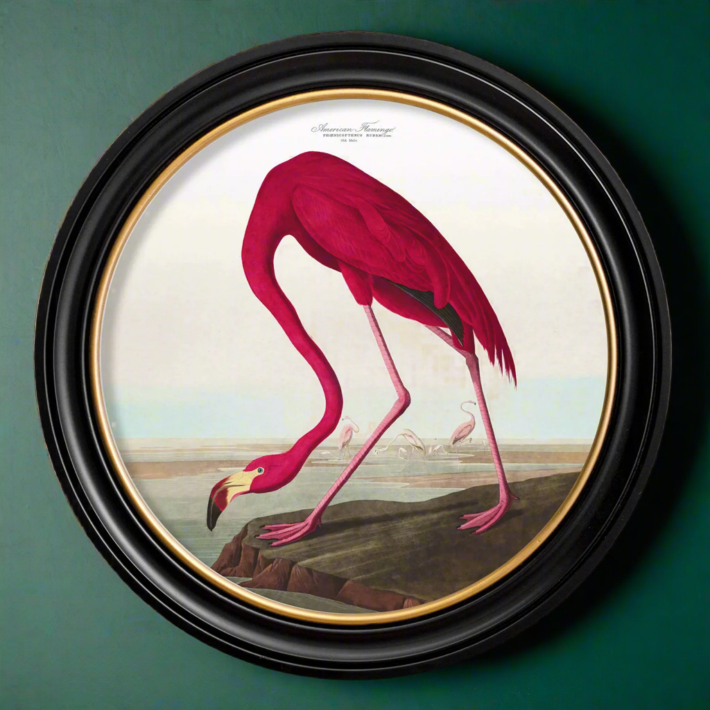 A large round artwork featuring a pink flamingo print with a classic black and gilt frame.