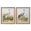 Pair of Stork Prints 60 cm