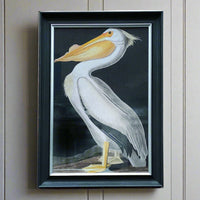 Pelican Wall Print 110 cm