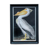 Pelican Wall Print 110 cm