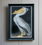 Pelican Print 110 cm