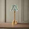Brushed gold, rechargeable table lamp with a USB port.&nbsp; This portable, rechargeable 3 stage touch dimmer table lamp allows you to set your desired level of light.
They include a USB cable and an integrated warm white LED bulb.
These lamps are so convenient, can be placed wherever needed, no wires or plugs. Perfect for dining tables, desks or bedrooms. Can even be used outdoors making this a totally versatile lighting solution for your home.
Combine them with a beautiful pleated clip shade in three diff