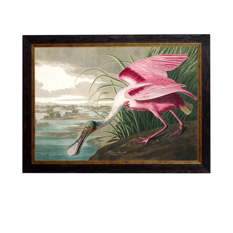 This is a large framed print of John James Audubon's "Roseate Spoonbill", from his famous series The Birds of America. Striking tones dominate—the lush rose pinks and magenta feathers, vivid green head with a striking red eye ring—giving the image a timeless, sophisticated atmosphere.