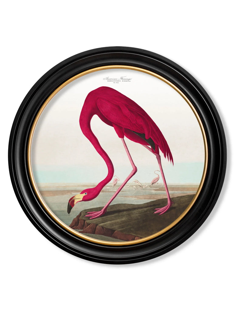 Oversize Prints I Pink Flamingo I Round Black Frame IPrints I Decorexi –  Decorexi A World of Interiors