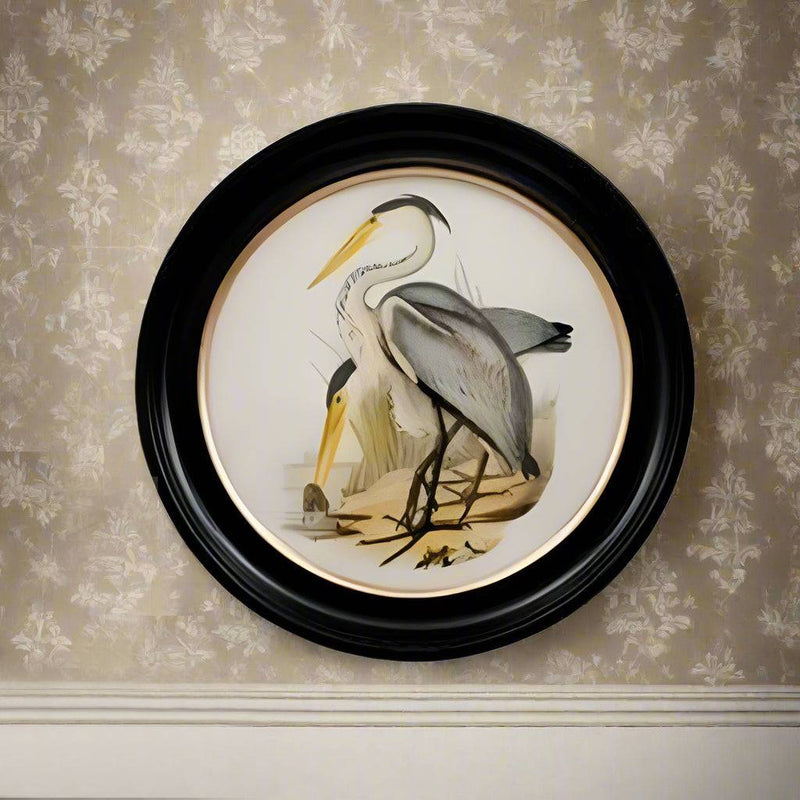 Round Heron wall print in a classic black and gilt frame, a medium size of this print will make an impact on any wall. The style is reminiscent of 19th-century ornithological illustrations 