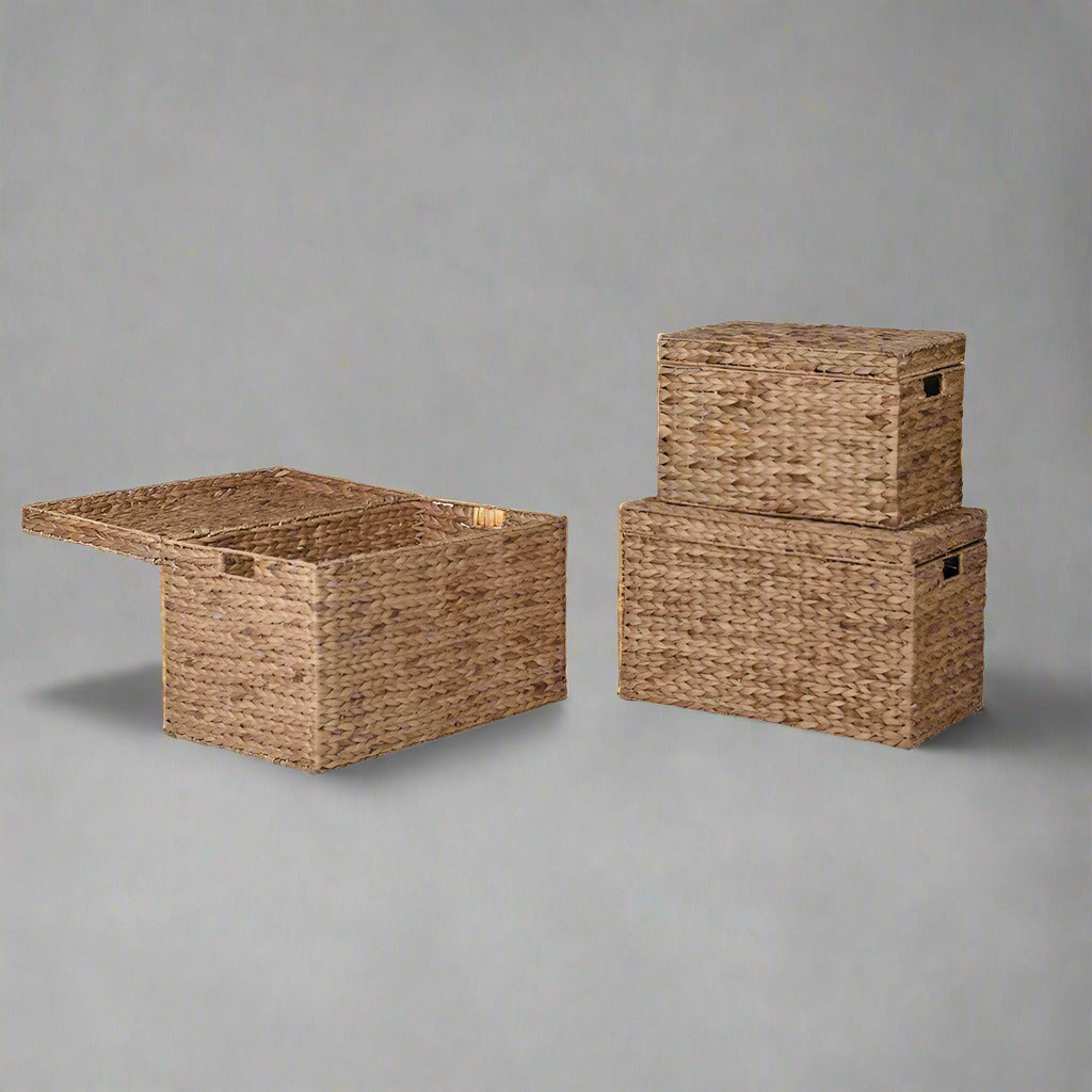 Bring style and function to your home with this set of three seagrass storage trunks. Handwoven from durable natural seagrass, these versatile storage boxes feature a rustic woven texture that adds warmth to any room while keeping clutter neatly tucked away. Each trunk comes with a matching lid, making them perfect for organizing blankets, toys, clothes, or everyday essentials.

Designed in three convenient sizes, these nesting storage trunks can be stacked for display or nested inside one another when not 