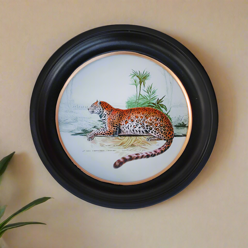 Small Leopard print in a classic black and gilt frame, a smaller size of this print will make an impact on any wall. Combine it with other prints to elevate your wall decor.