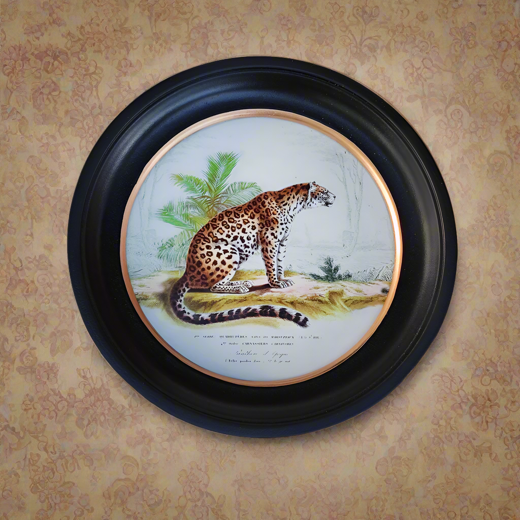 Small Leopard print in a classic black and gilt frame, a smaller size of this print will make an impact on any wall. Combine it with other prints to elevate your wall decor