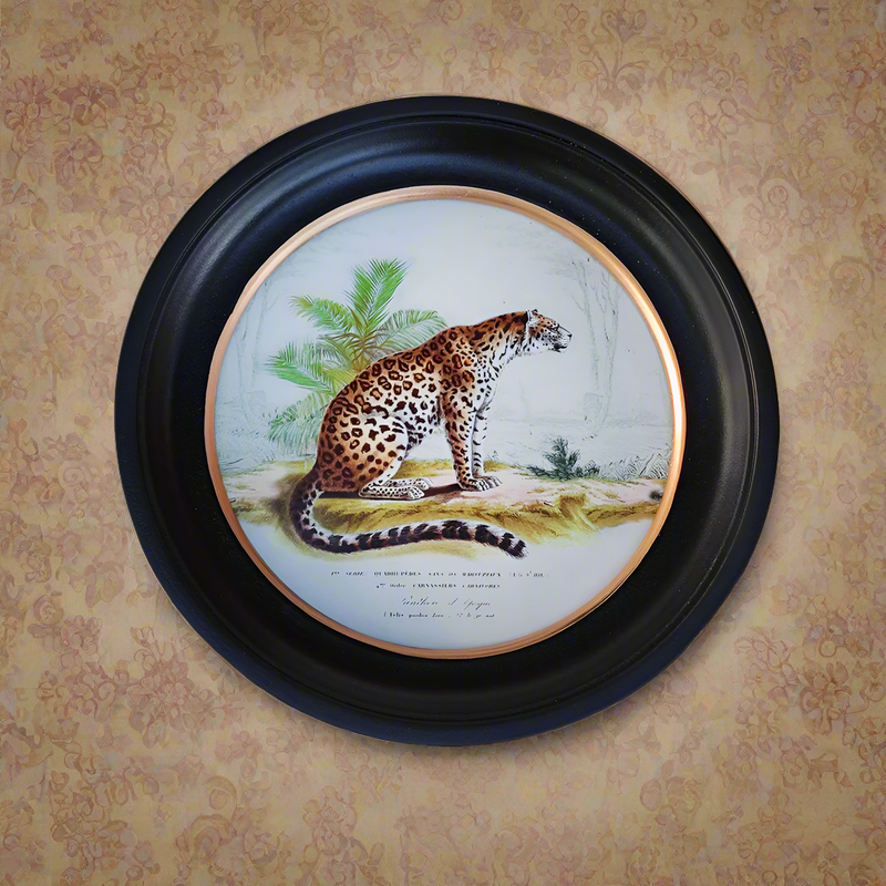 Small Leopard print in a classic black and gilt frame, a smaller size of this print will make an impact on any wall. Combine it with other prints to elevate your wall decor