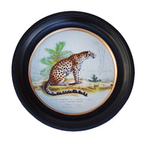 Medium round leopard print framed in black and gilt, featuring a vintage-style illustration of a leopard with greenery in the background. Measures 38 cm, ideal for wall art decor.