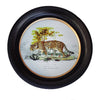 Medium round leopard print wall art with a black and gilt frame, measuring 38 cm. Features a vintage-style illustration of a leopard in a natural setting.