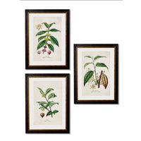 Tea Coffee Chocolate Prints Set of Three 50 cm x 38 cm
