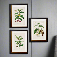 Tea Coffee Chocolate Prints Set of Three 50 cm x 38 cm