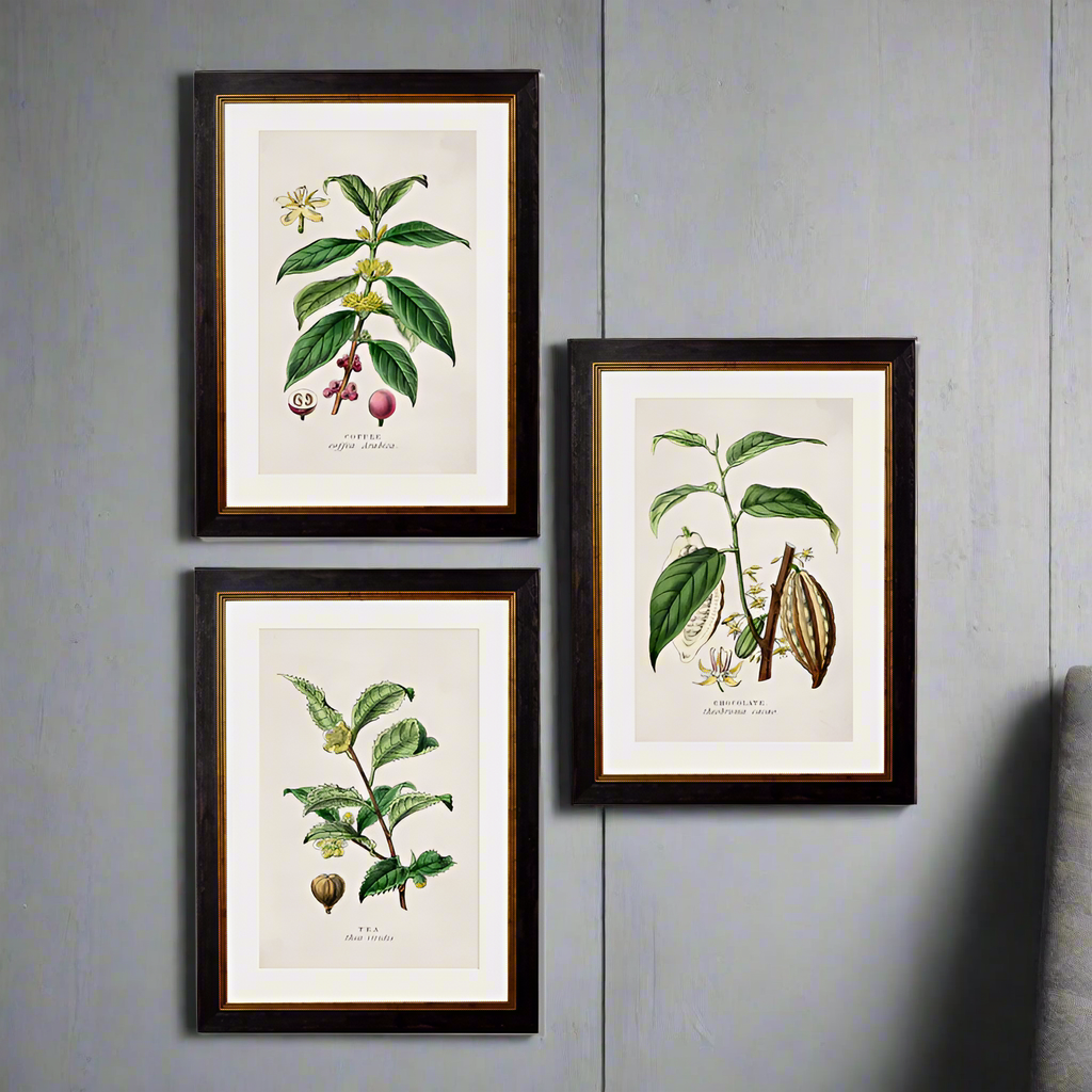Tea Coffee Chocolate Prints Set of Three 50 cm x 38 cm