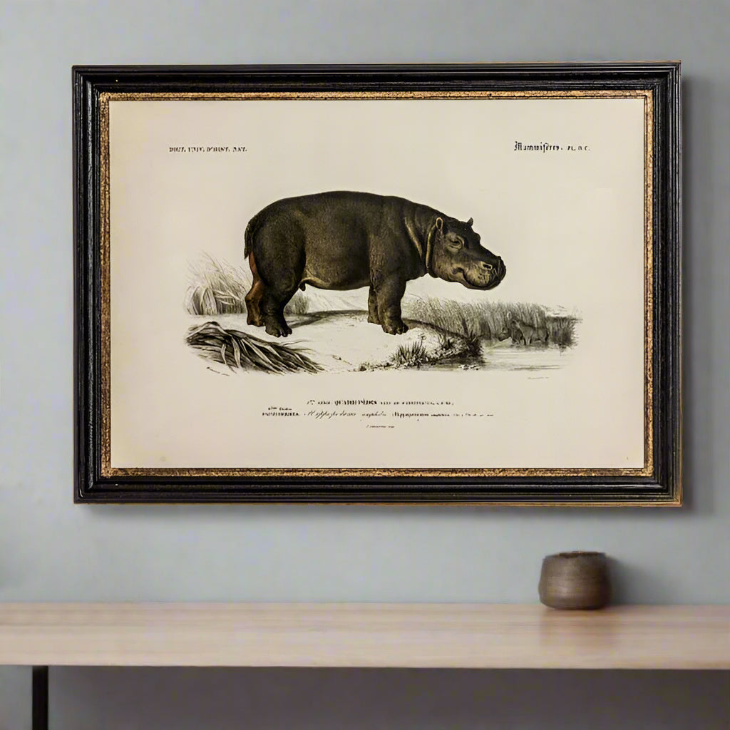 Vintage Animal Print In A Black & Gold Frame - 73cm x 53cm