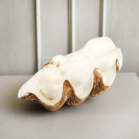Realistic resin clam shell bowl with natural textures and white interior used as decorative home accent.