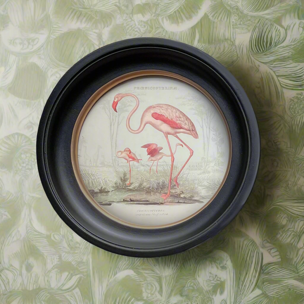 Pink flamingo print in a classic black and gilt frame, a smaller size of this print will make an impact on any wall. Combine it with other prints to elevate your wall decor.