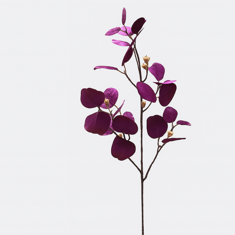 deep garnet coloured eucalyptus stems for a perfect minimal display
