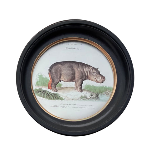 Small Round Hippo Print 27 cm