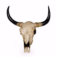 Large bison skull wall head with curved black horns and a natural bone-effect finish.