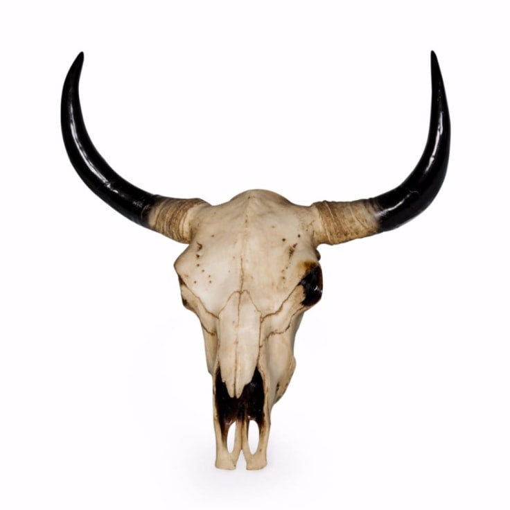Large bison skull wall head with curved black horns and a natural bone-effect finish.