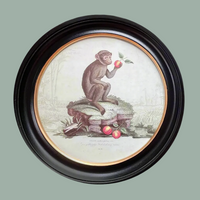 Round Monkey Print 38 cm