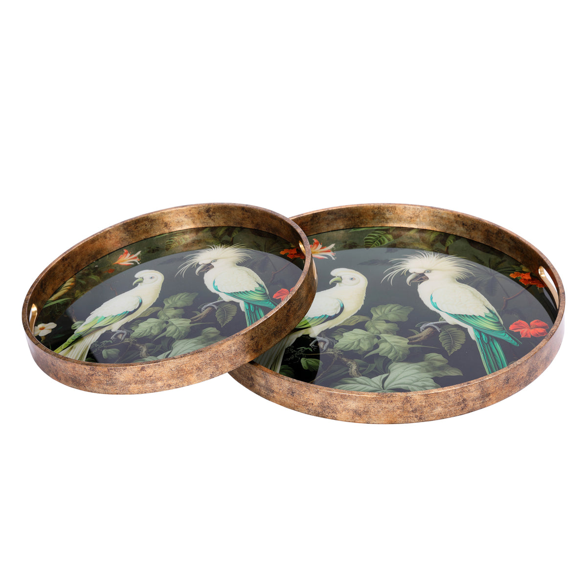pair of medium and large round exotic bird trees on a neutral background. 